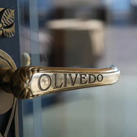 奥利维多酒店 酒店